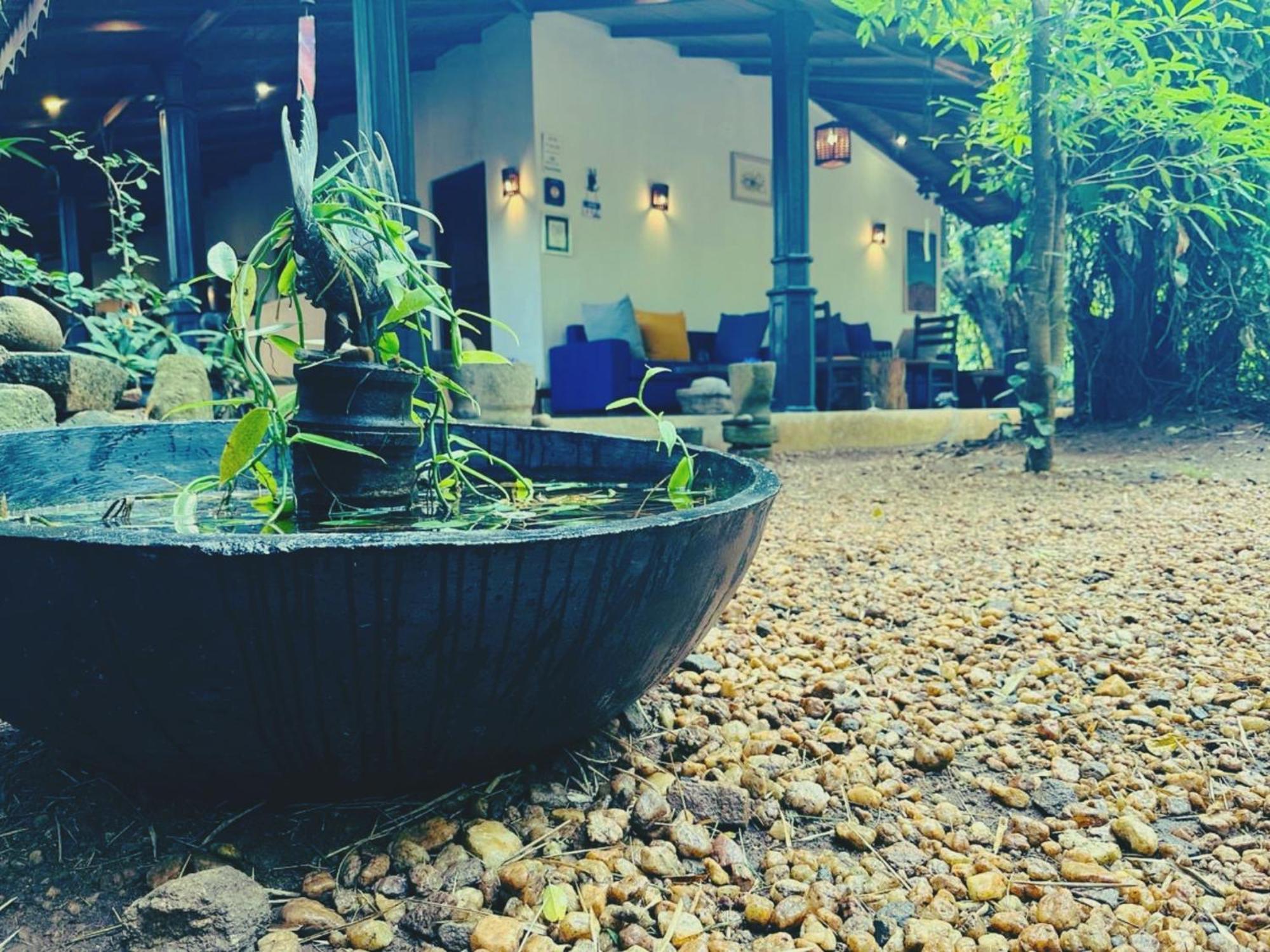 The Green Edge Dambulla Exterior foto