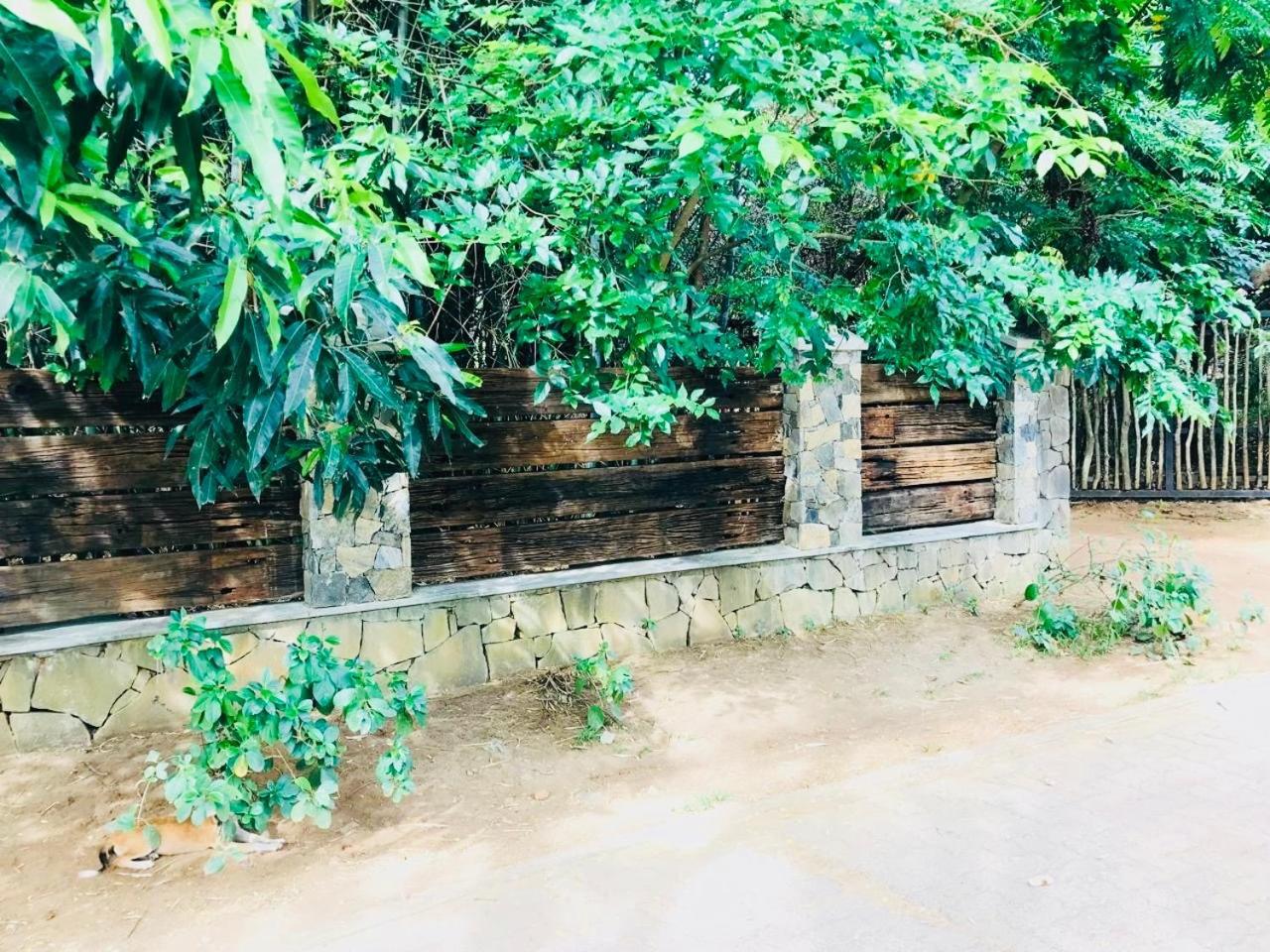 The Green Edge Dambulla Exterior foto